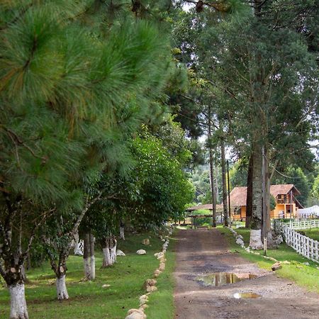 Goldmen Select Guarapuava Hotel Bagian luar foto