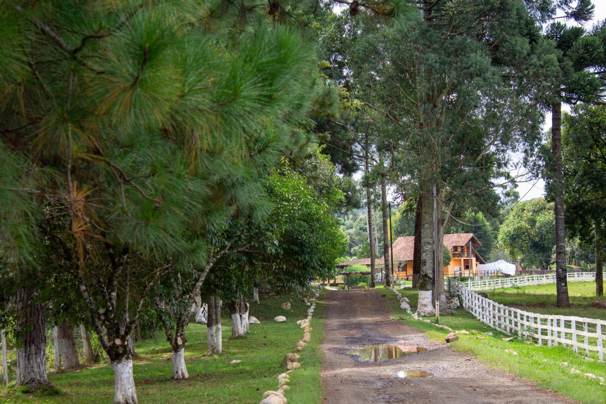 Goldmen Select Guarapuava Hotel Bagian luar foto